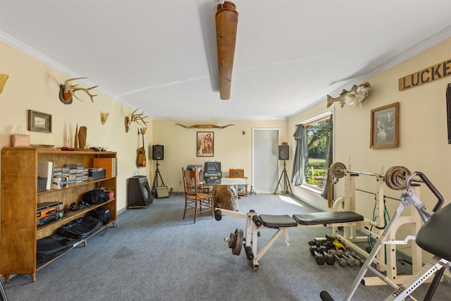 workout area featuring crown molding and carpet flooring