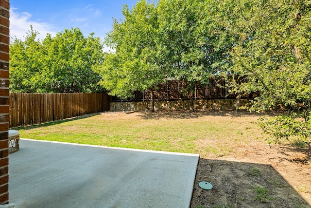 view of yard with a patio area