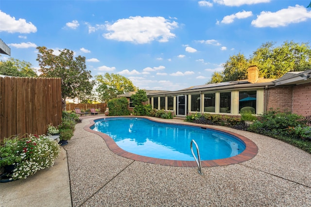 view of pool featuring a patio