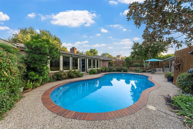 view of swimming pool with a patio area