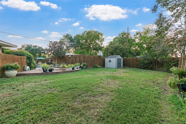 view of yard with a storage shed