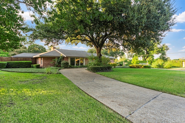 ranch-style home with a front yard