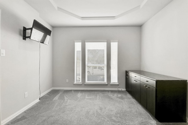 unfurnished room featuring light colored carpet and a raised ceiling