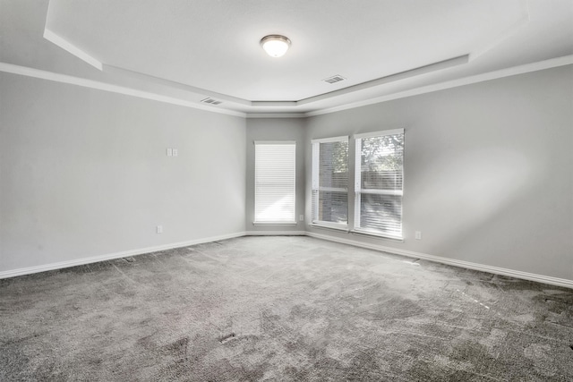 unfurnished room with crown molding, carpet floors, and a raised ceiling