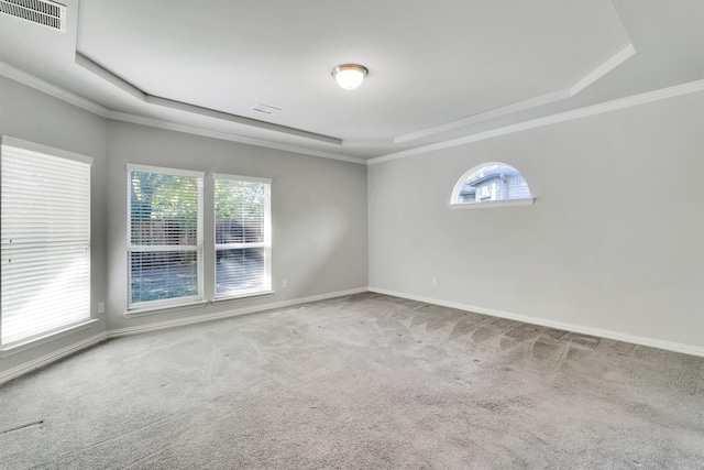 carpeted empty room with ornamental molding, plenty of natural light, and a raised ceiling