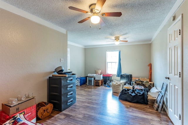 miscellaneous room with hardwood / wood-style flooring, ceiling fan, and a textured ceiling