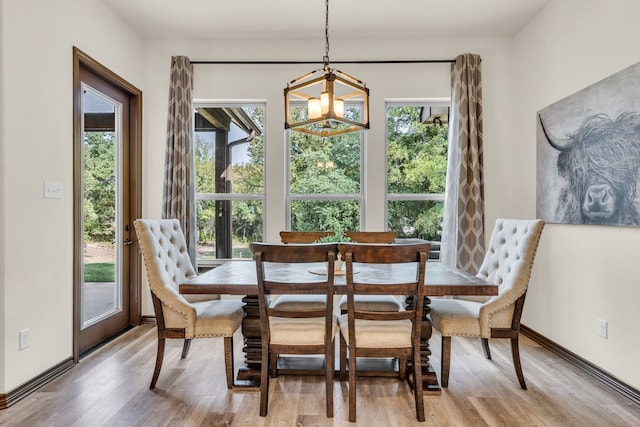 dining area with a notable chandelier, light hardwood / wood-style flooring, and a healthy amount of sunlight