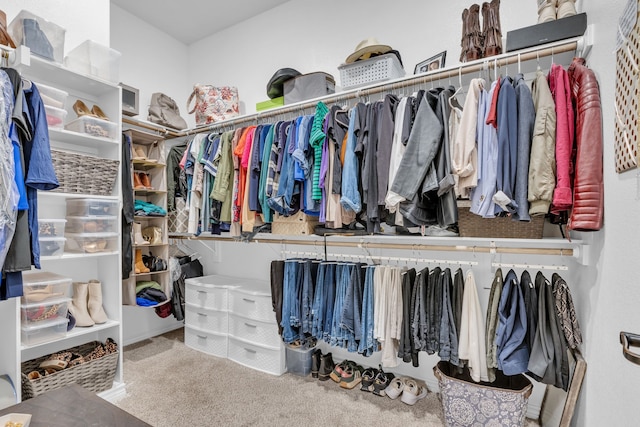 spacious closet featuring carpet flooring