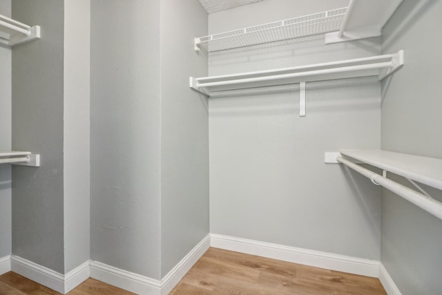 spacious closet featuring wood-type flooring