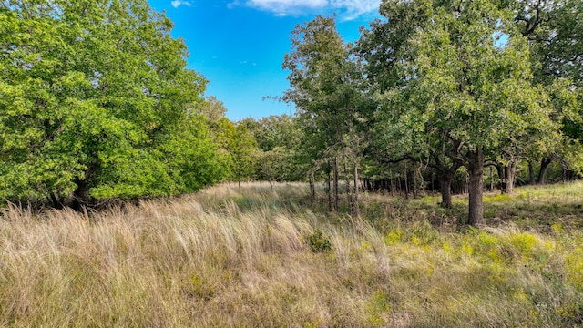 TBD Valley Oak Ct, Springtown TX, 76082 land for sale