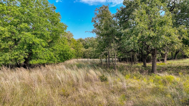 TBD Valley Oak Court, Springtown, TX 76082