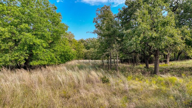 Listing photo 2 for TBD Valley Oak Ct, Springtown TX 76082