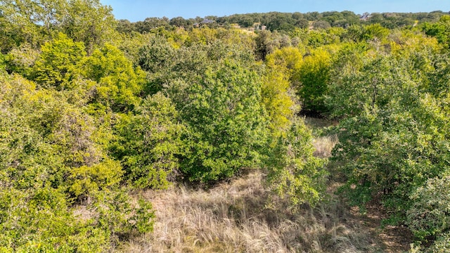 Listing photo 3 for TBD Valley Oak Ct, Springtown TX 76082