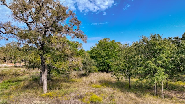 TBD Valley Oak Court, Springtown, TX 76082