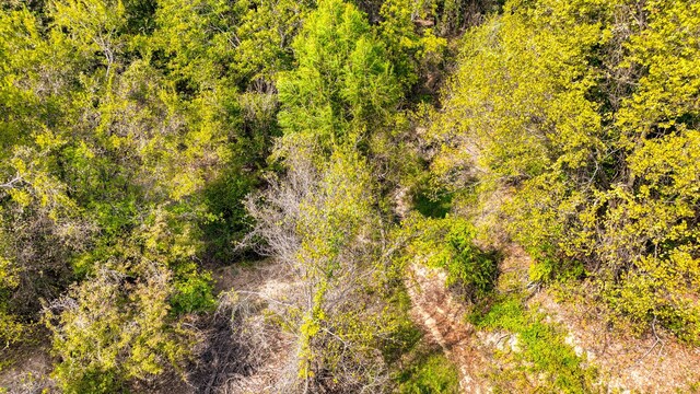 TBD Valley Oak Court, Springtown, TX 76082