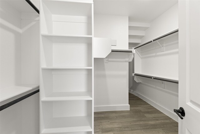 2614 Shadybrook Dr, Celina, TX 75009 - spacious closet featuring dark wood-type flooring