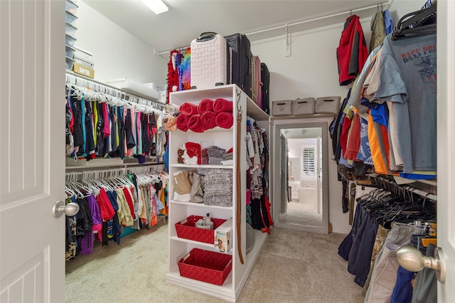 walk in closet featuring carpet floors