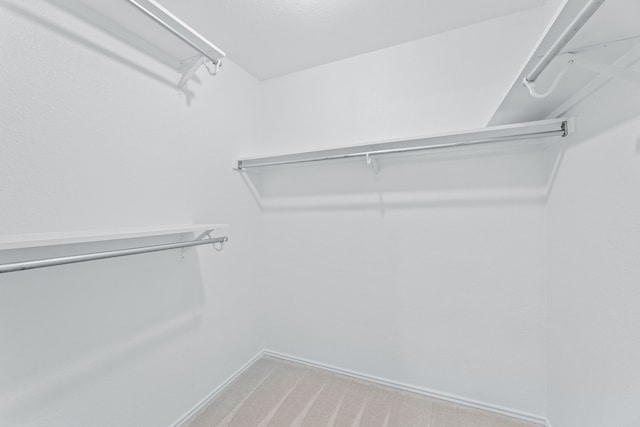 spacious closet with carpet flooring