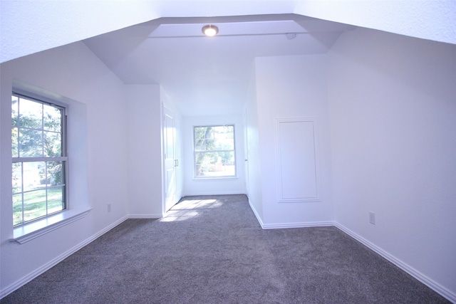 interior space featuring dark colored carpet and lofted ceiling