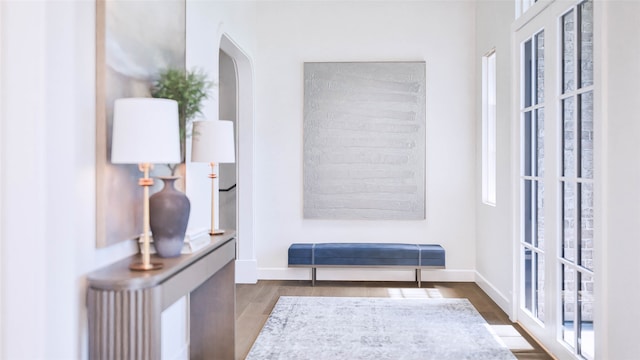 interior space with wood-type flooring