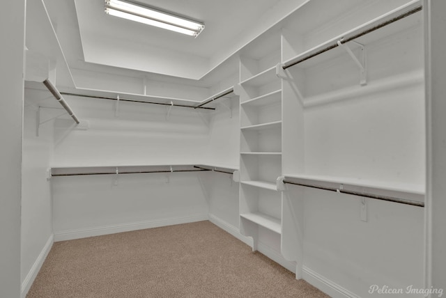 walk in closet with light carpet