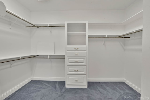 walk in closet with carpet flooring