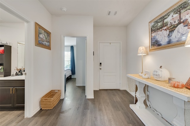 entrance foyer with sink and dark hardwood / wood-style floors