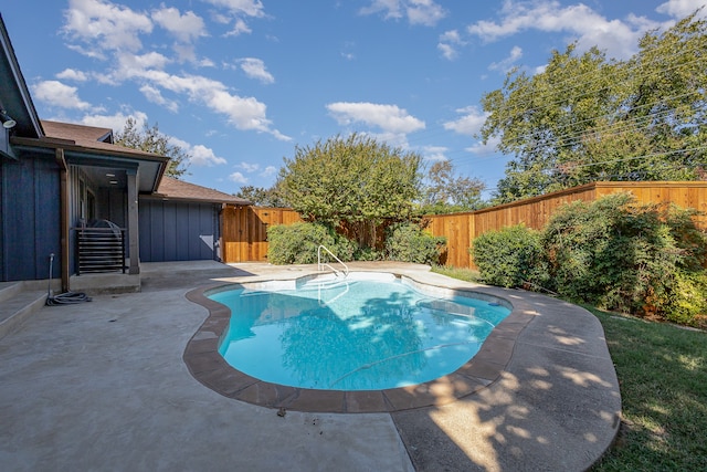 view of swimming pool with a patio