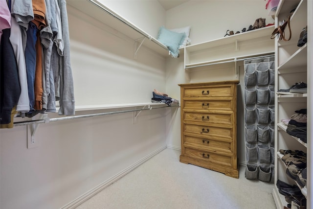 spacious closet featuring carpet floors