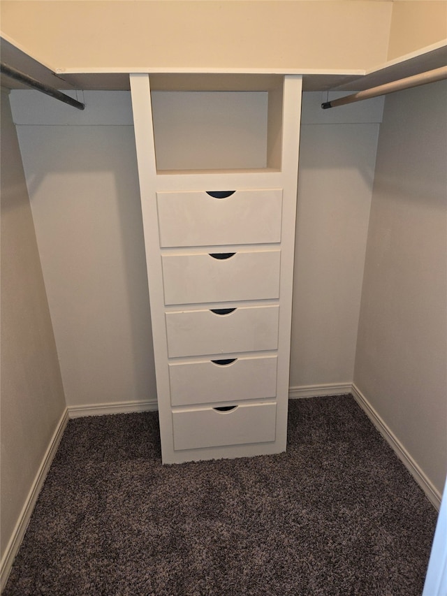 spacious closet featuring dark colored carpet