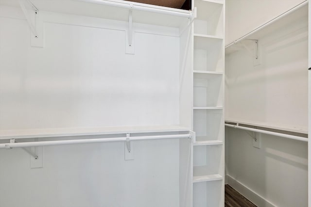 spacious closet featuring dark wood-type flooring