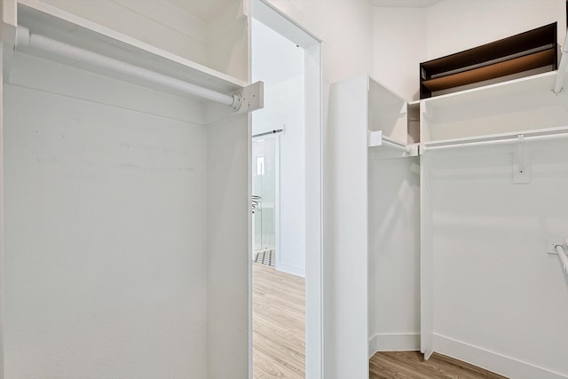 spacious closet featuring wood-type flooring