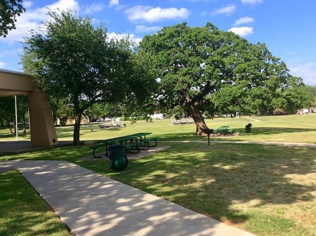 view of community featuring a yard