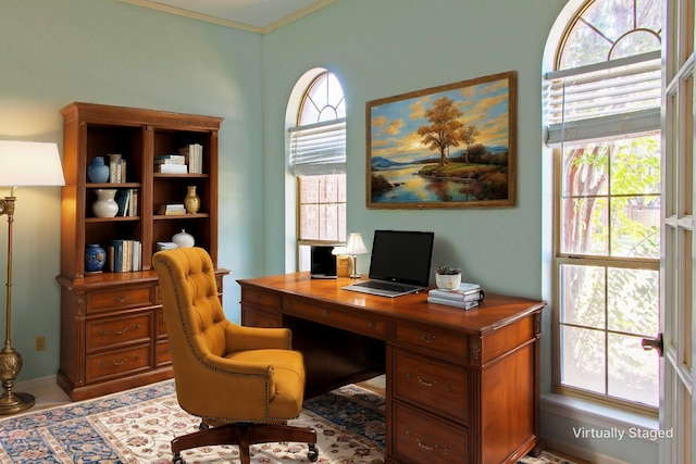 office featuring ornamental molding