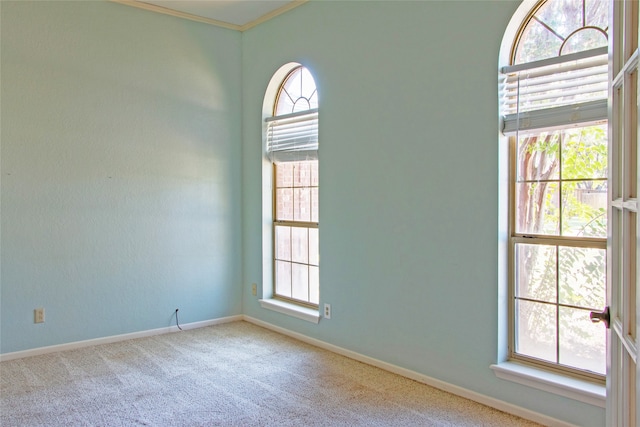 empty room with carpet, a wealth of natural light, and ornamental molding