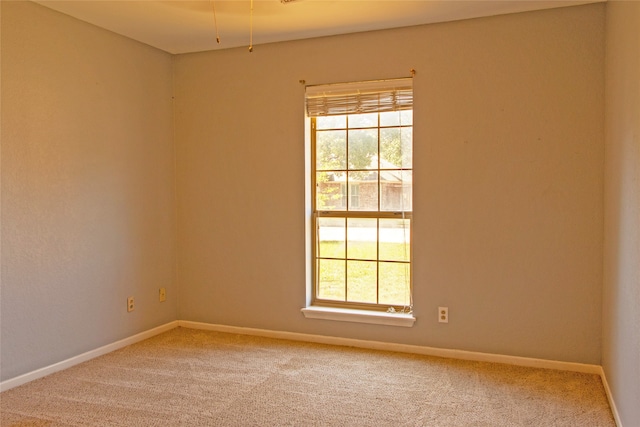 spare room with carpet