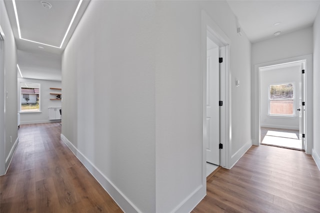 hall with hardwood / wood-style floors