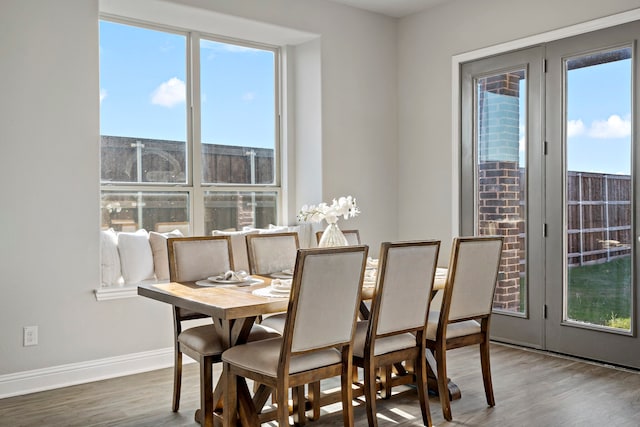 dining room with plenty of natural light and hardwood / wood-style floors