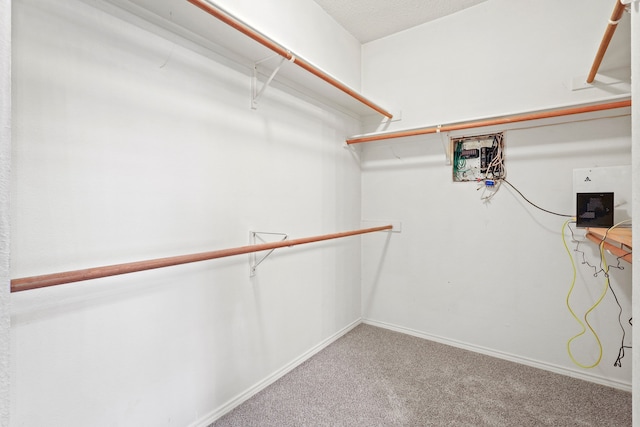 spacious closet with carpet floors