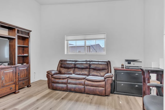 living room with light wood-type flooring