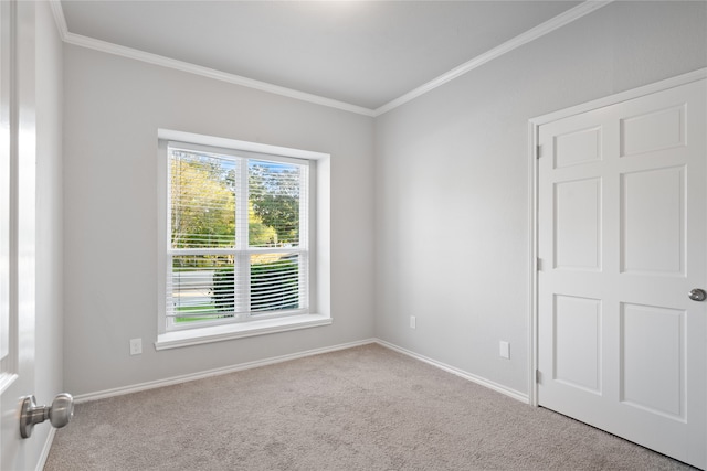 carpeted spare room with ornamental molding