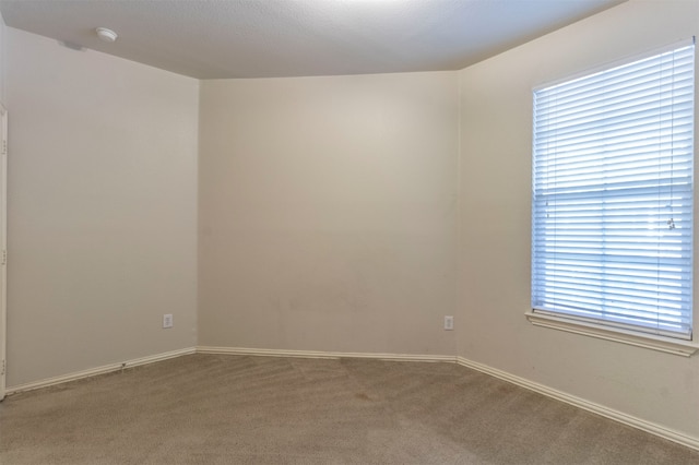 unfurnished room with carpet floors, a textured ceiling, and plenty of natural light