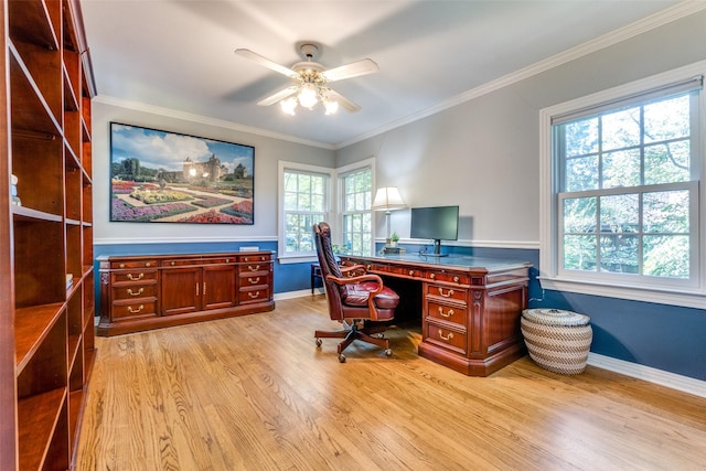 office featuring ceiling fan, light wood-type flooring, and ornamental molding