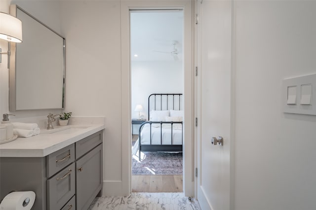 bathroom featuring hardwood / wood-style floors and vanity