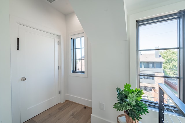 entryway featuring light wood-type flooring and a wealth of natural light