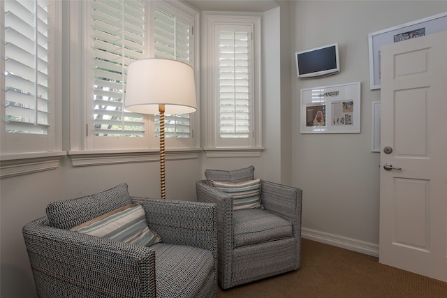 sitting room with carpet flooring and a healthy amount of sunlight