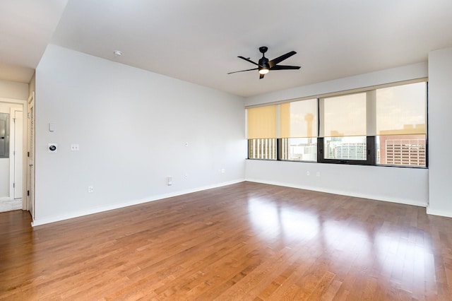 empty room with ceiling fan and hardwood / wood-style floors