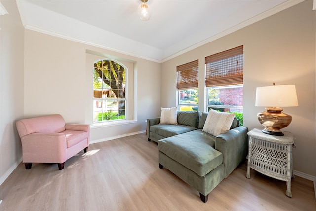 living area featuring crown molding, light wood finished floors, and baseboards