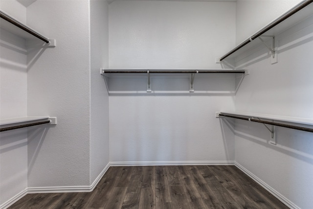 walk in closet with dark hardwood / wood-style flooring