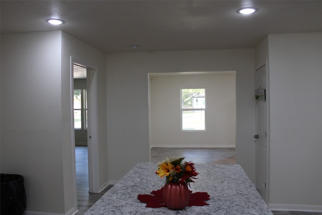 hall featuring hardwood / wood-style flooring